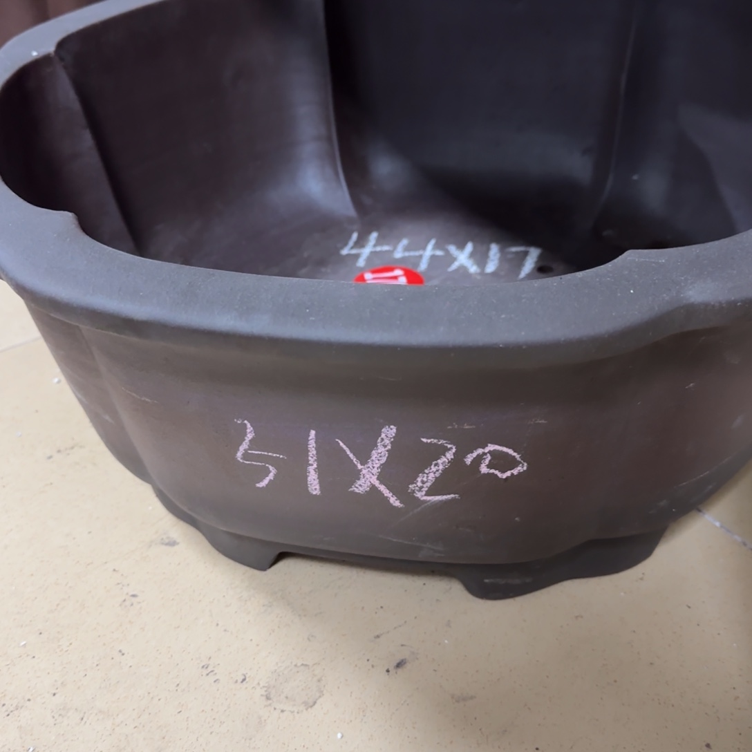 紫砂花盆我呜呜呜呜呜呜