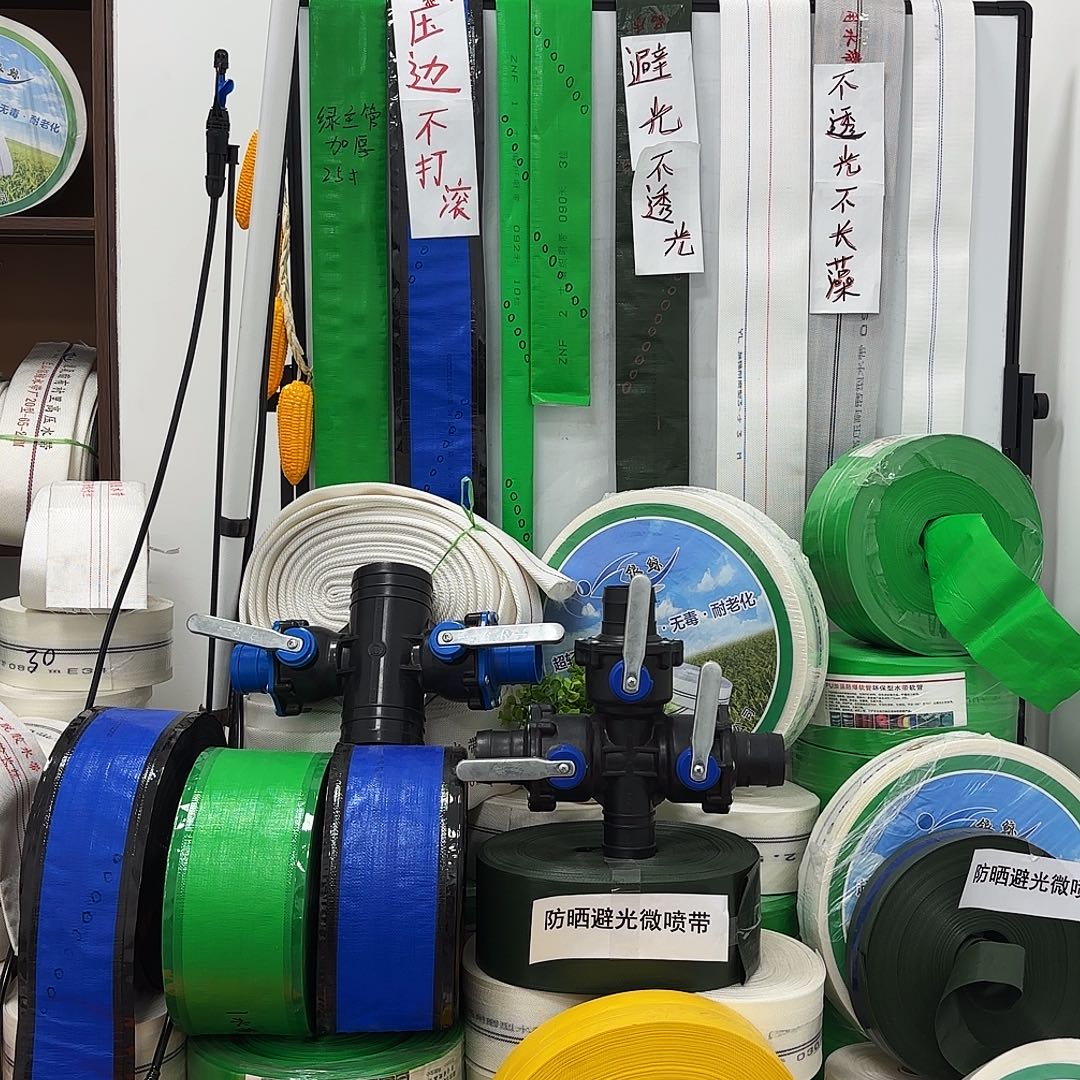 天天有鱼哥大礼包。   