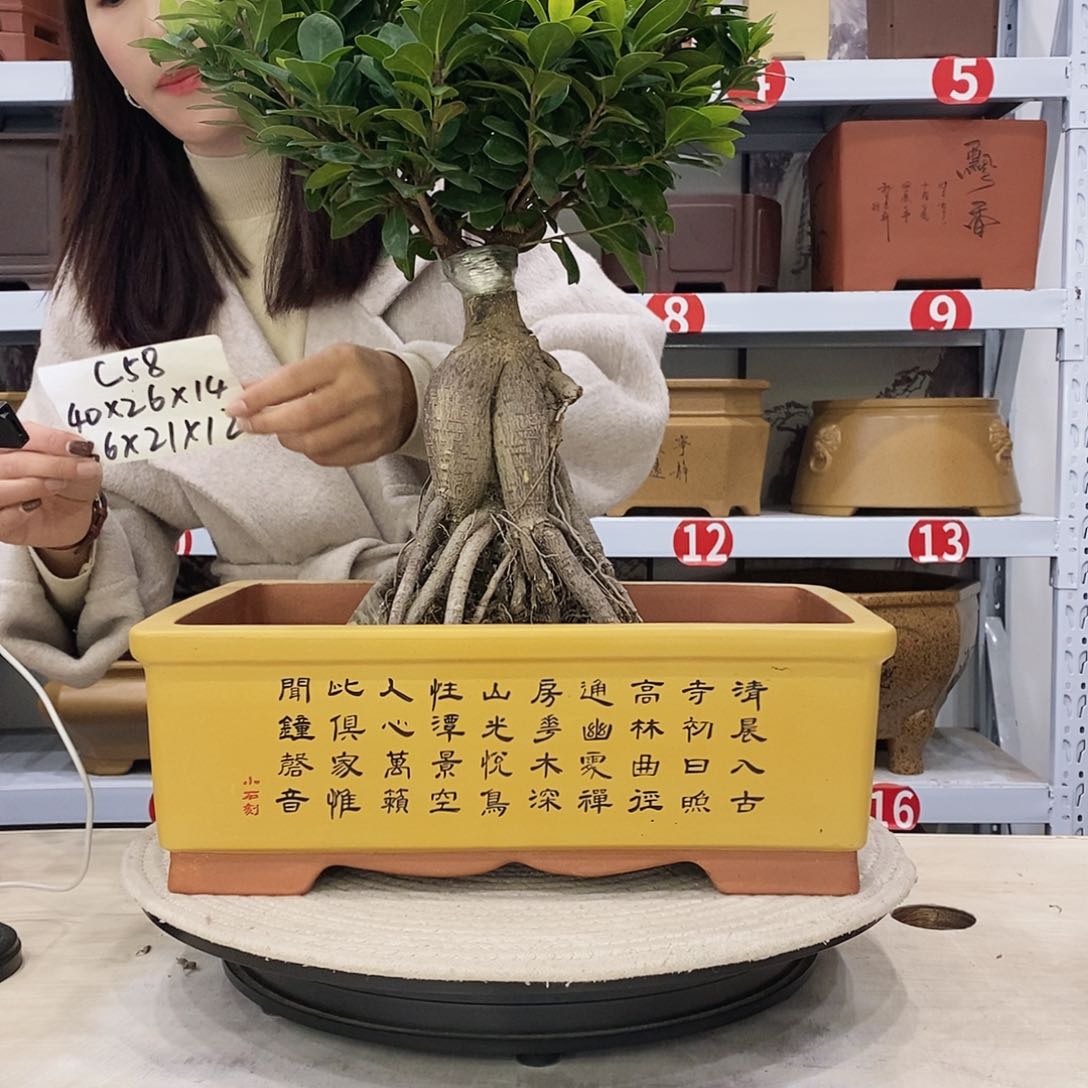 紫砂花盆紫砂花盆