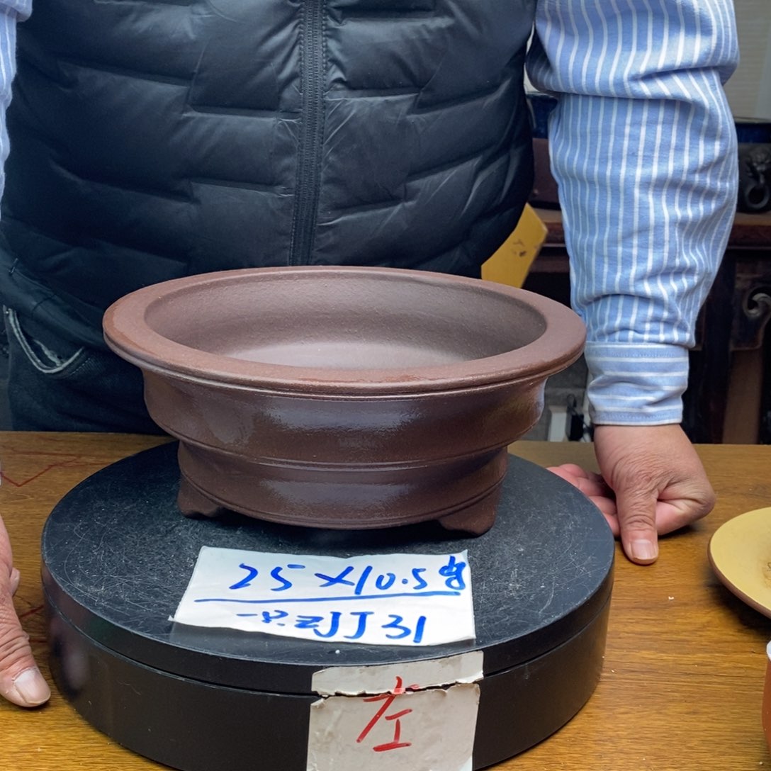 红陶货号一只ZJJ31