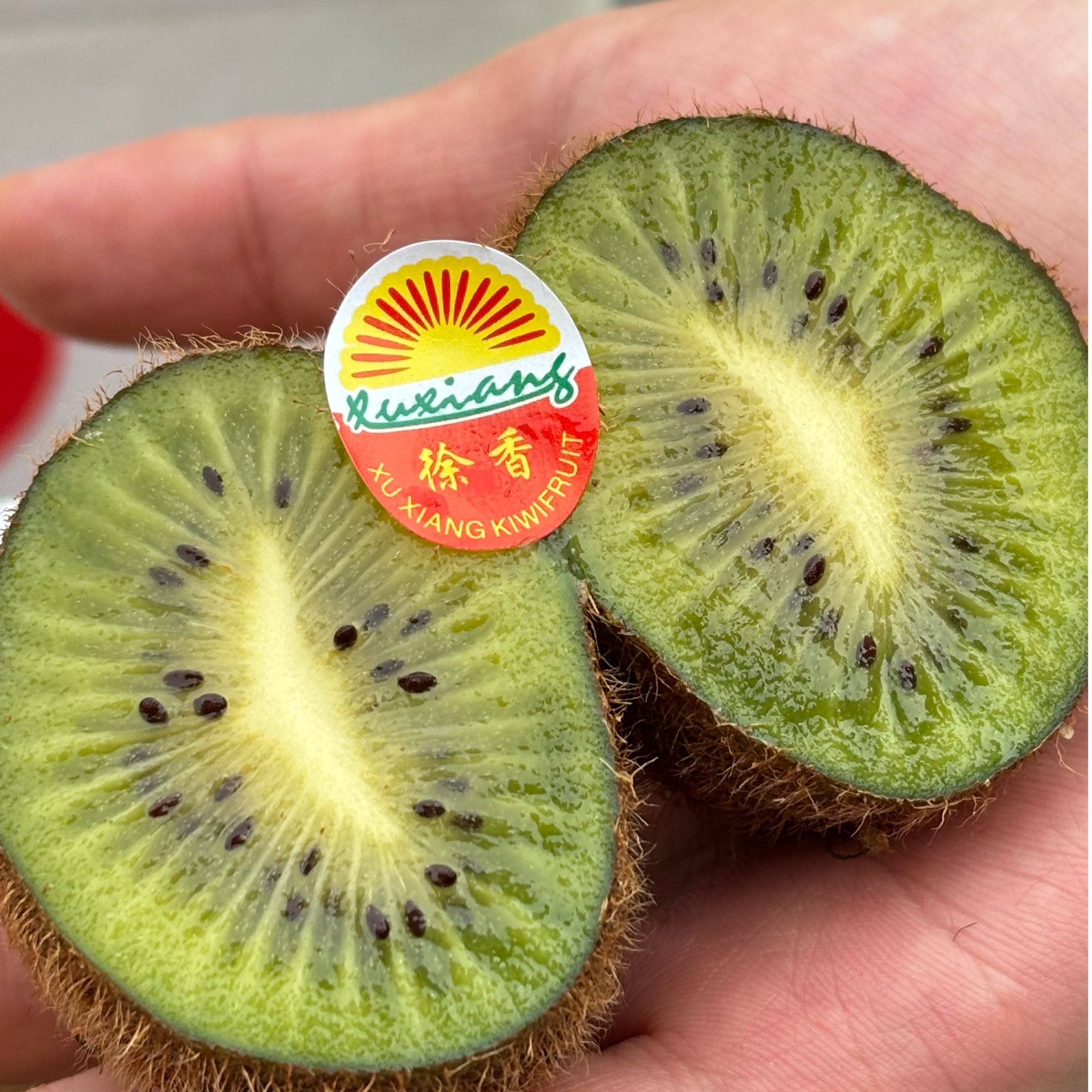 【徐香/修文/猕猴桃】 净重5斤左右 微软即食 香软甜 【只发河南】