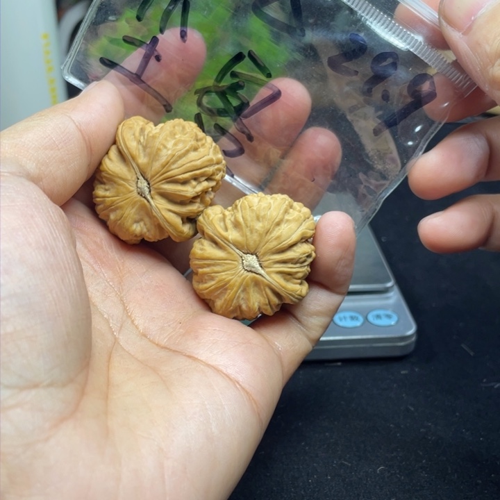 文玩核桃把件尘*白狮子