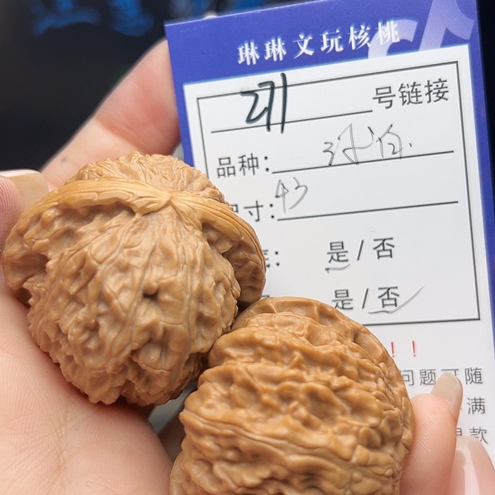 文玩核桃吊坠核桃树271