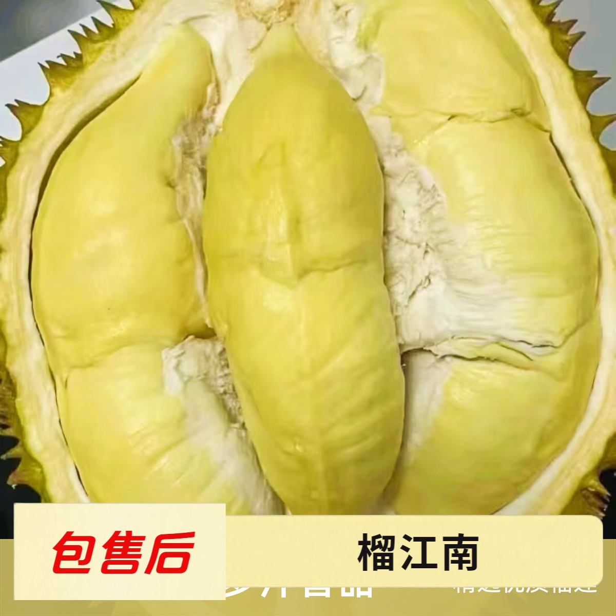 【义乌同城小时达】AA级泰国空运树熟新鲜金枕现挑现剥1.8斤+5两（有灯牌多送5两）=2.3斤（核小）金枕泰国