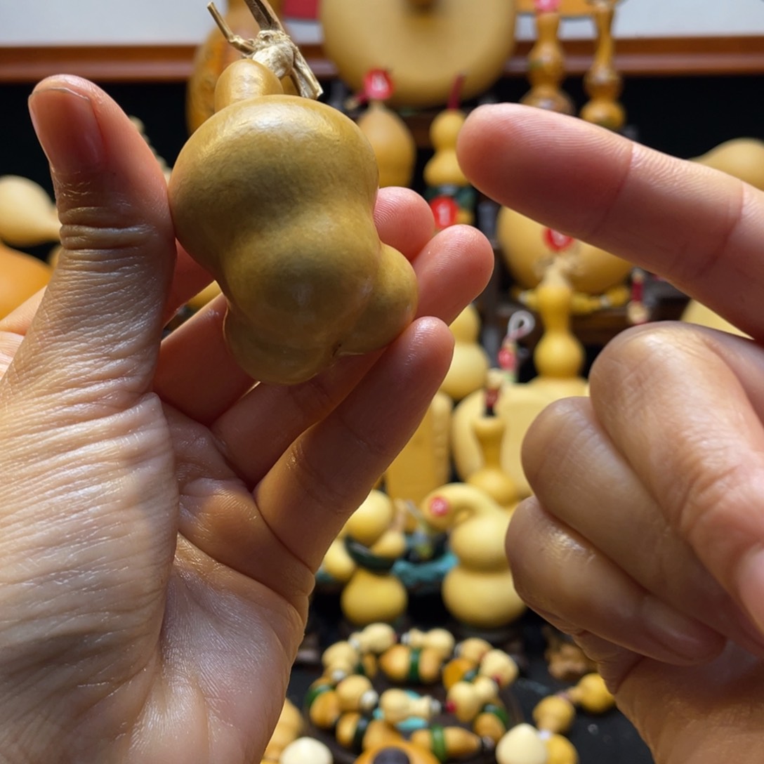 H*大自然的秘密第十节第