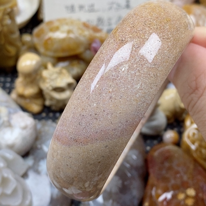 颈饰未镶嵌硅化珊瑚（珊瑚玉）