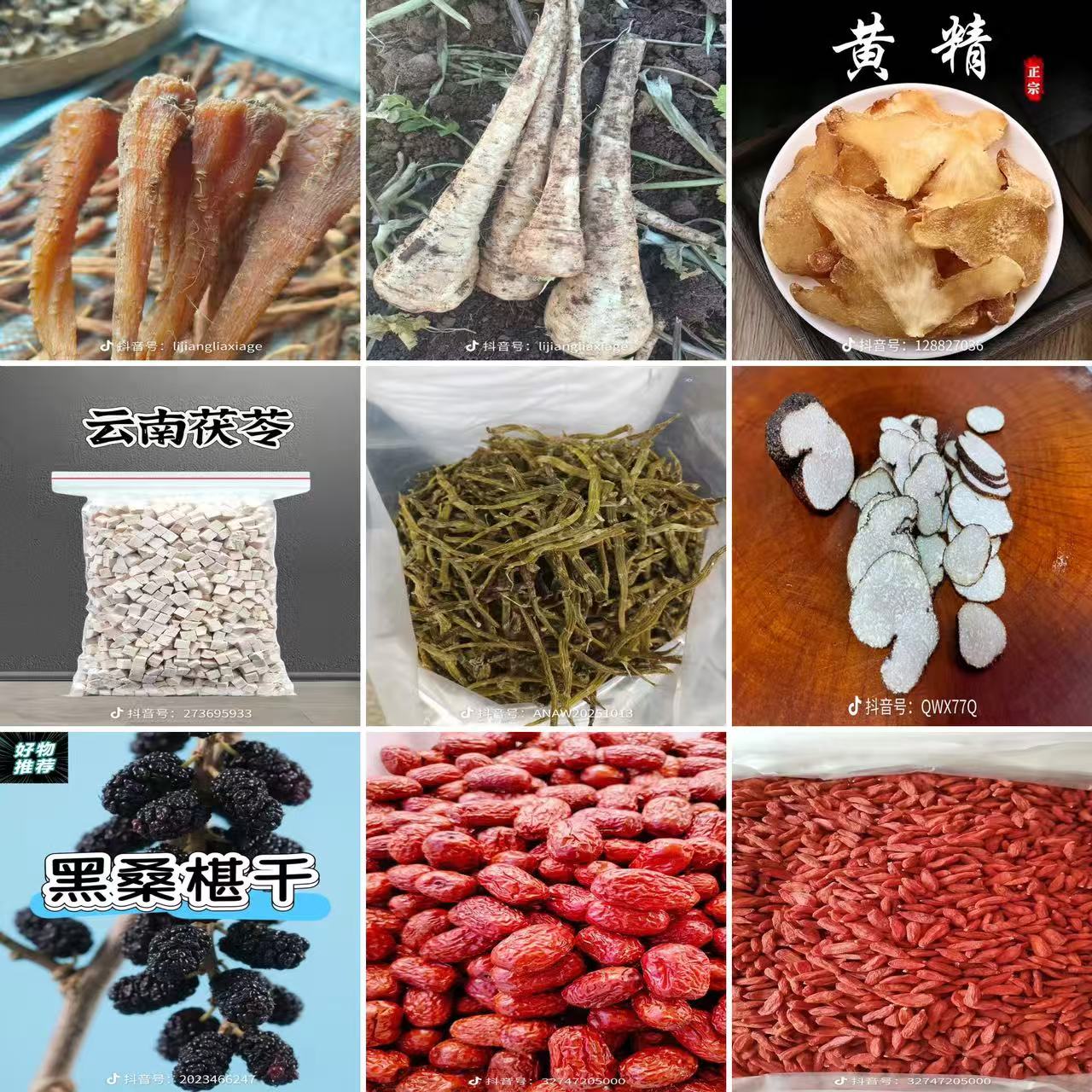 中缅边境~~~~g~~枸杞~~山