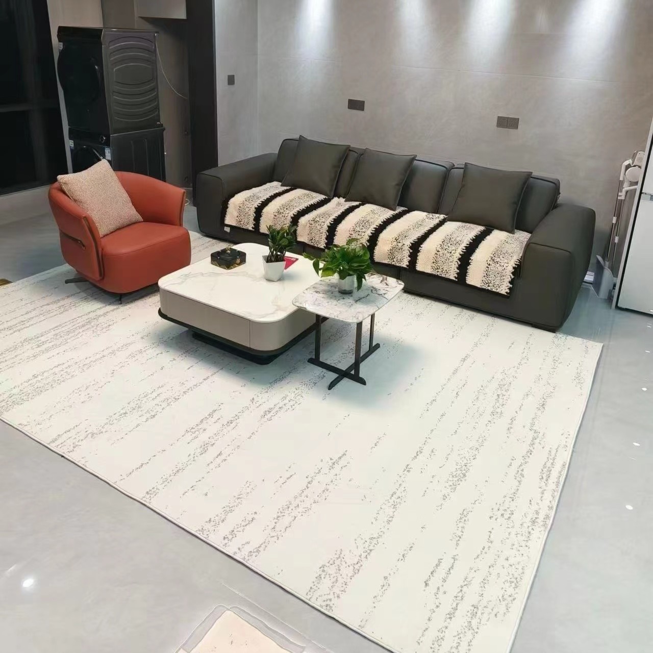 【七防圈绒】客厅地毯防水可擦沙发茶几垫卧室家用大面积防滑地毯垫