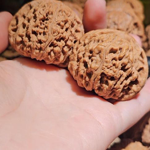 吊坠文玩核桃45南疆