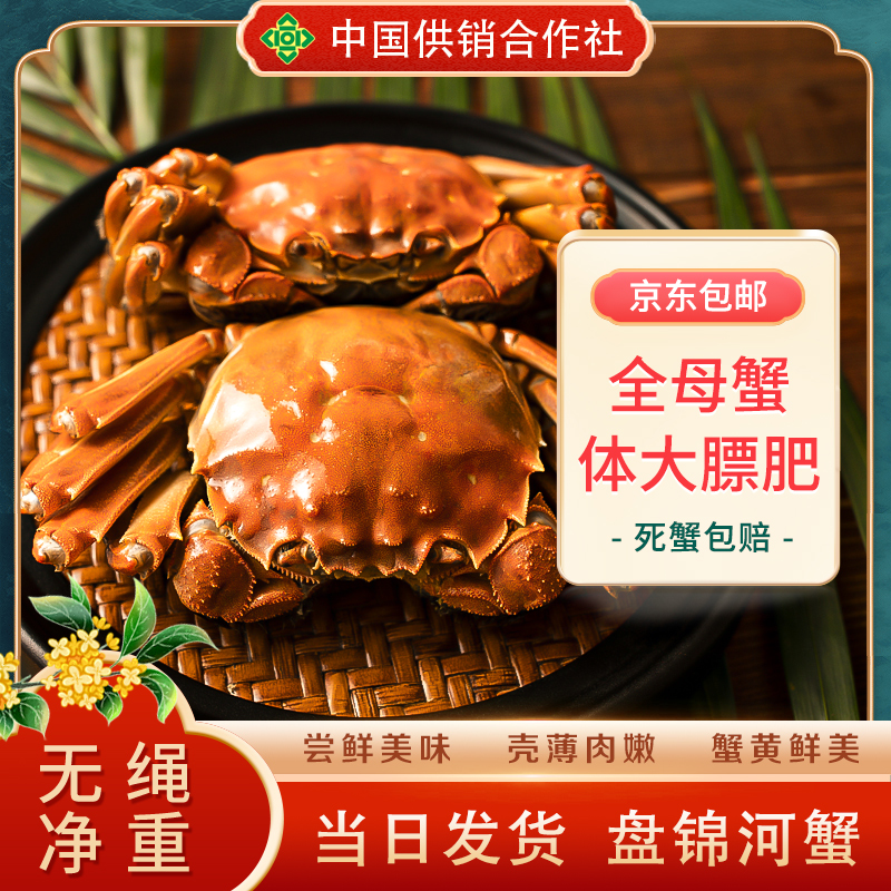 【活蟹】盘锦河蟹母蟹（1.3—1.5两/只）净重2斤 稻田蟹 供销社甄选