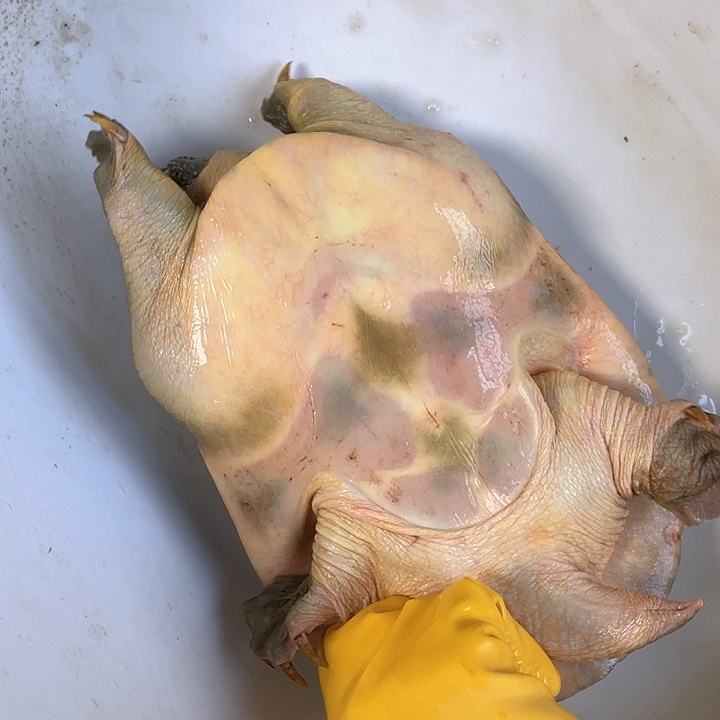 劈***馆中国大陆福利鱼包活不退换