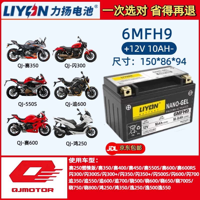 钱江 鸿250赛250赛350赛400赛550S赛600闪300追600摩托车通用电瓶