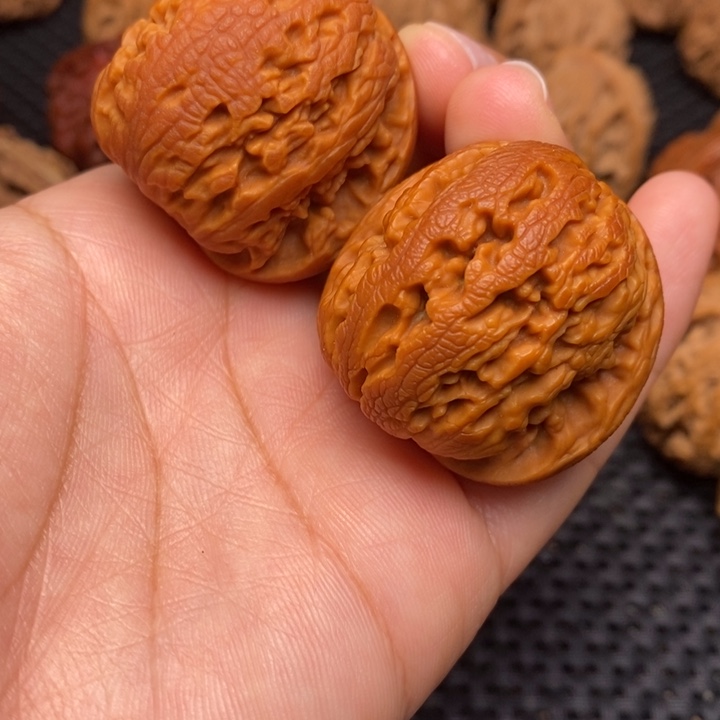 秦岭野生00000002