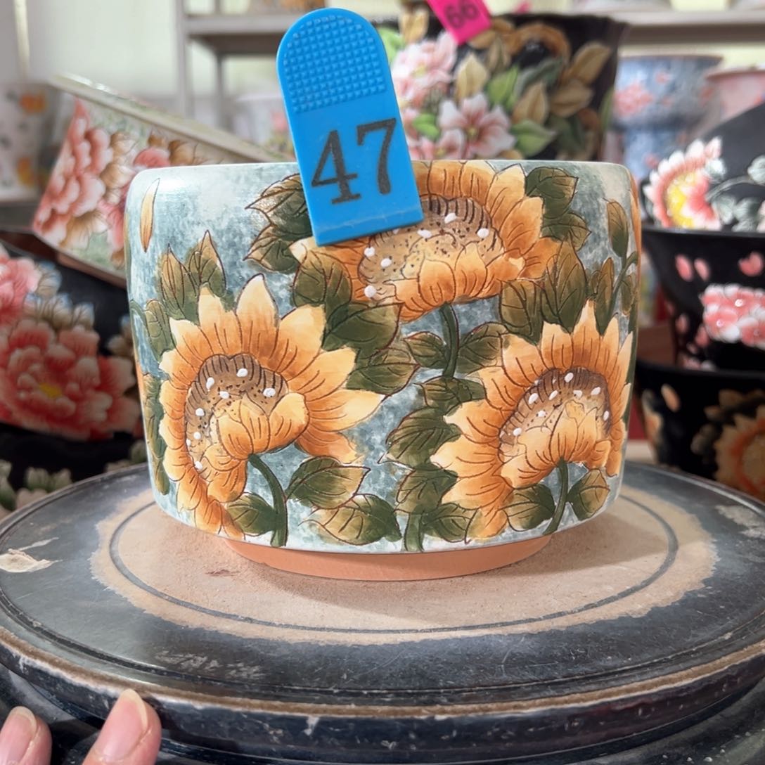 满39.9包邮不满足不发哈