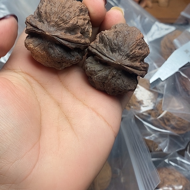 文玩核桃把件93号号41mm