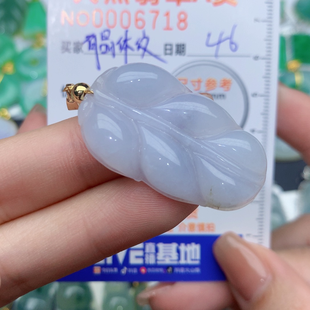 翡翠颈饰未镶嵌叶子