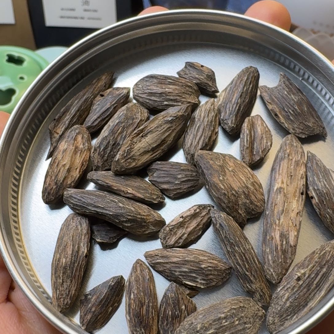 树脂制品深圳野瓜子一份打包5