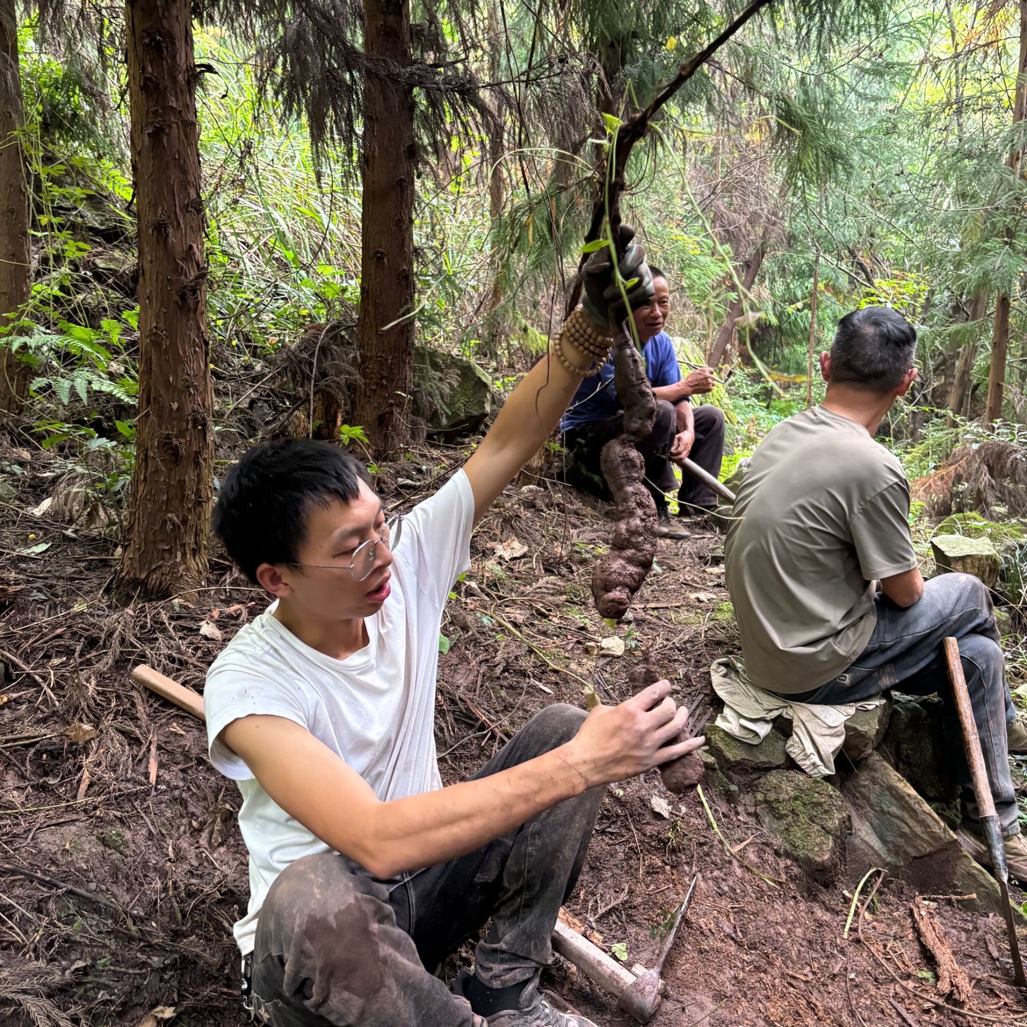 直播间一物一拍新鲜野生植物盆景等等，看清楚再拍不售后