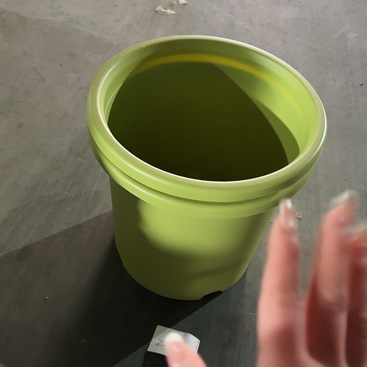 编号2254口55无托2个