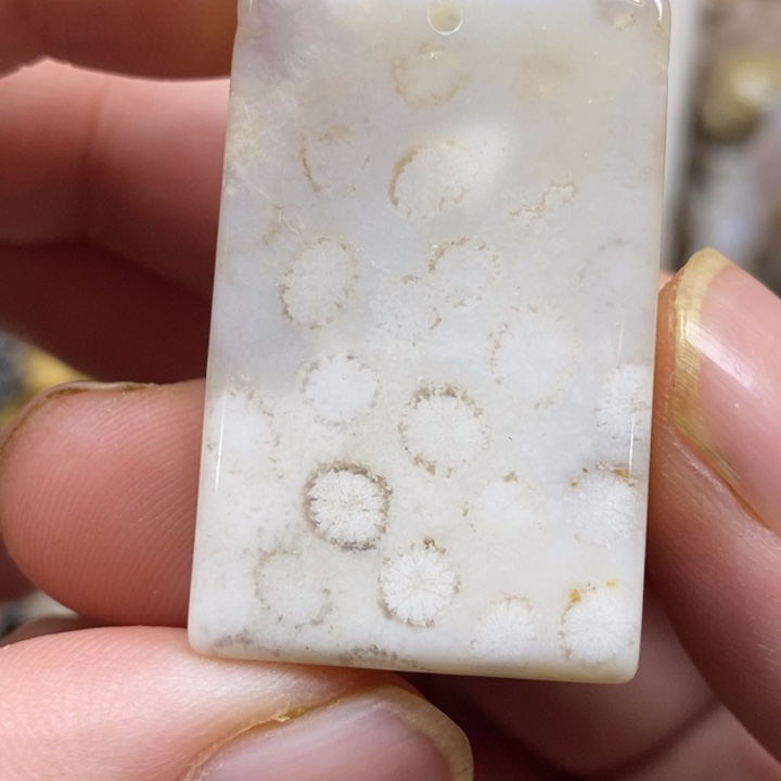 硅化珊瑚（珊瑚玉）未镶嵌颈饰