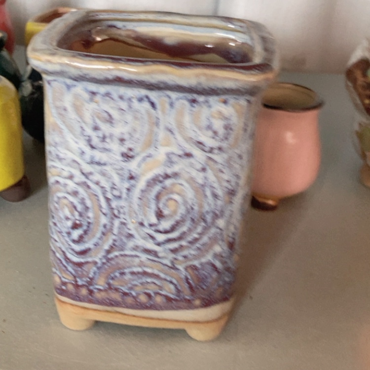 【闪购商品】红陶福利