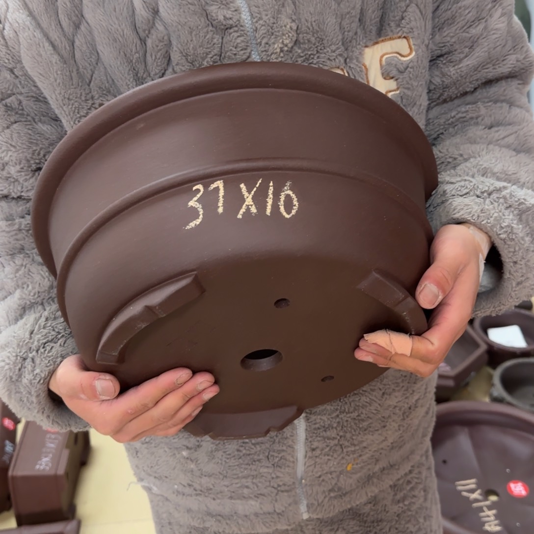 紫砂花盆呜呜呜呜