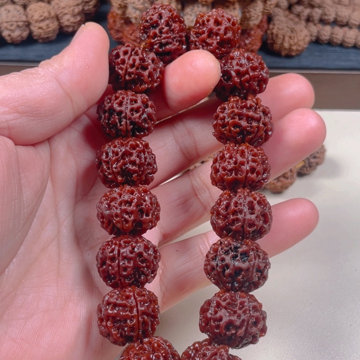 金刚菩提手串21mm经典五星双龙