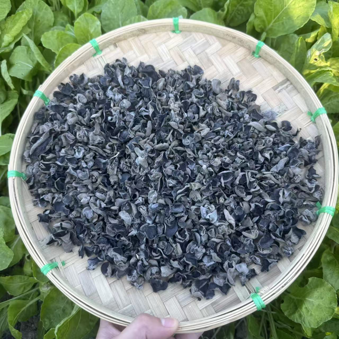 正宗干木耳 可炒菜