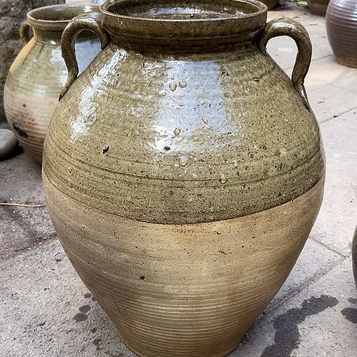 无花朵玫瑰花玫瑰花玫瑰花玫瑰花