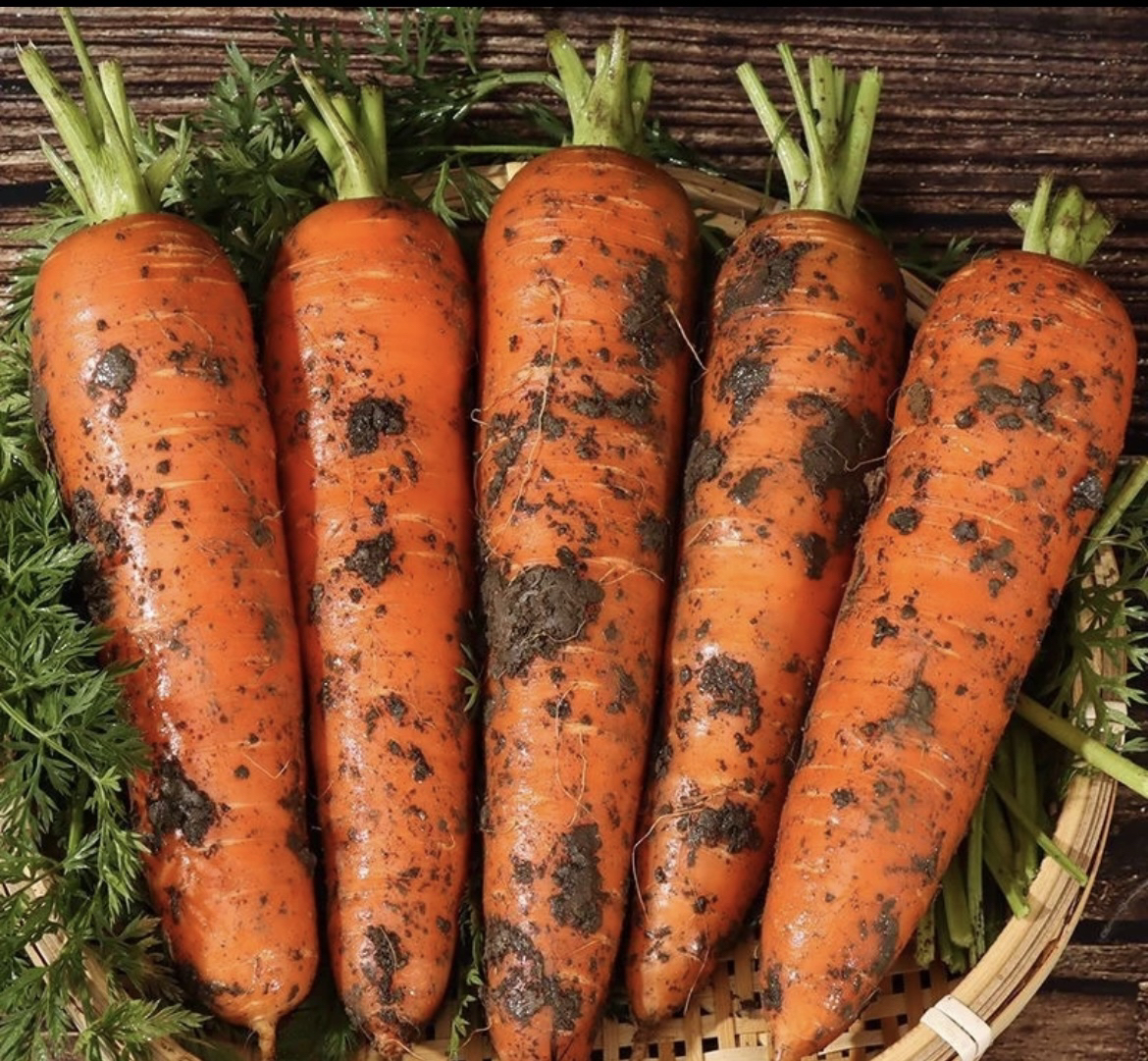 【阿Q村长】江西新余农家特产胡萝卜