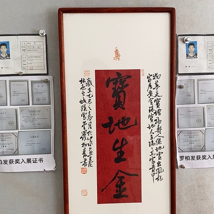 书法中书协罗柏发老师作品