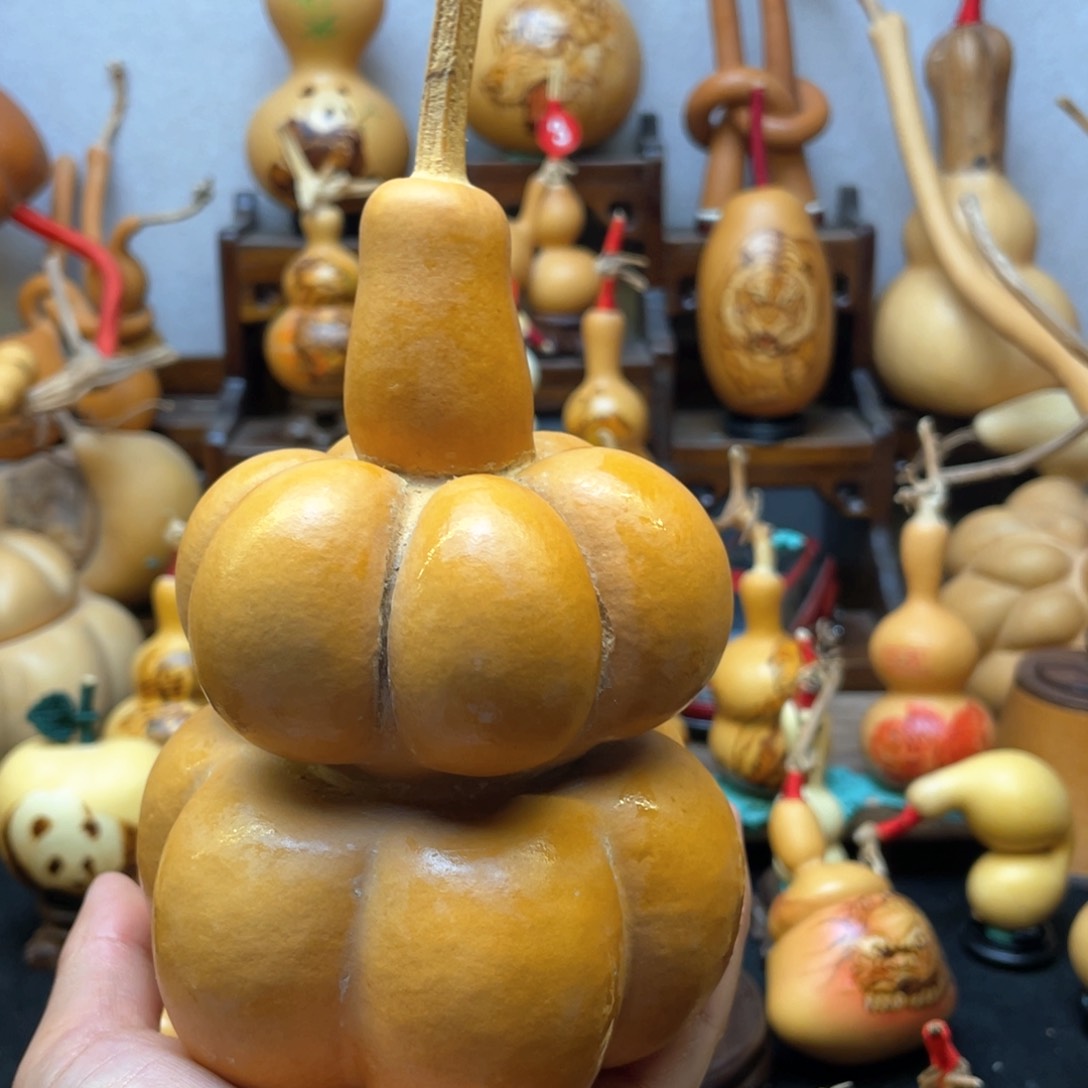 S****杰大自然的秘密第十节第二十