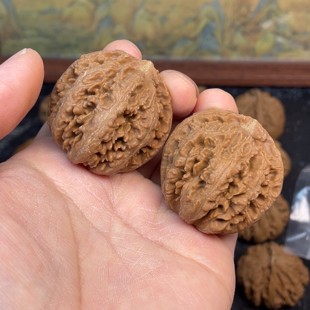 核桃10号链接101010