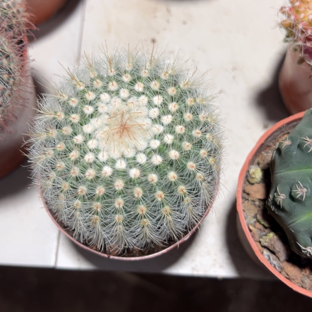 半***癲哈哈哈哈哈哈哈哈哈哈哈