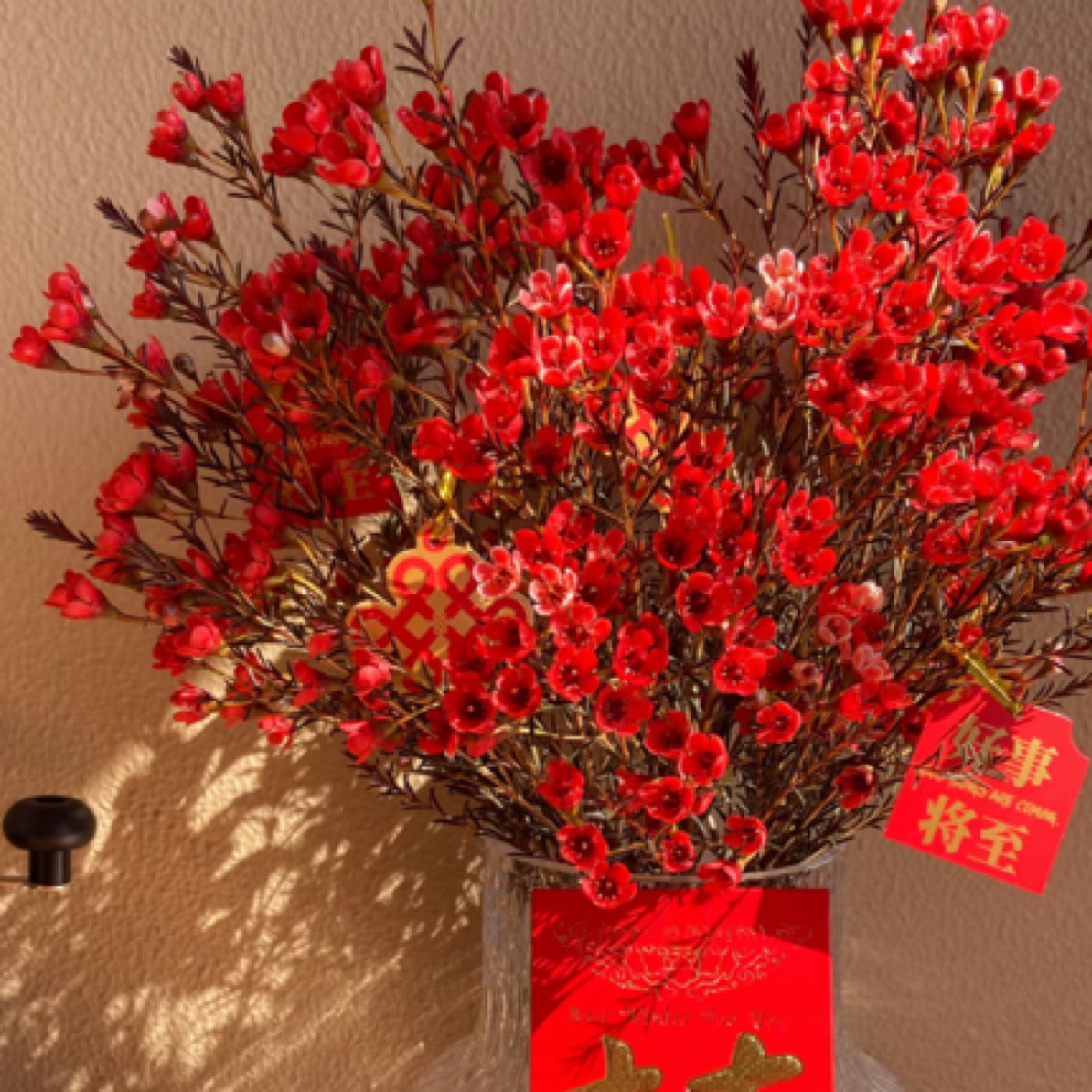 红色腊梅不含花瓶鲜花临沂鲜花小时达