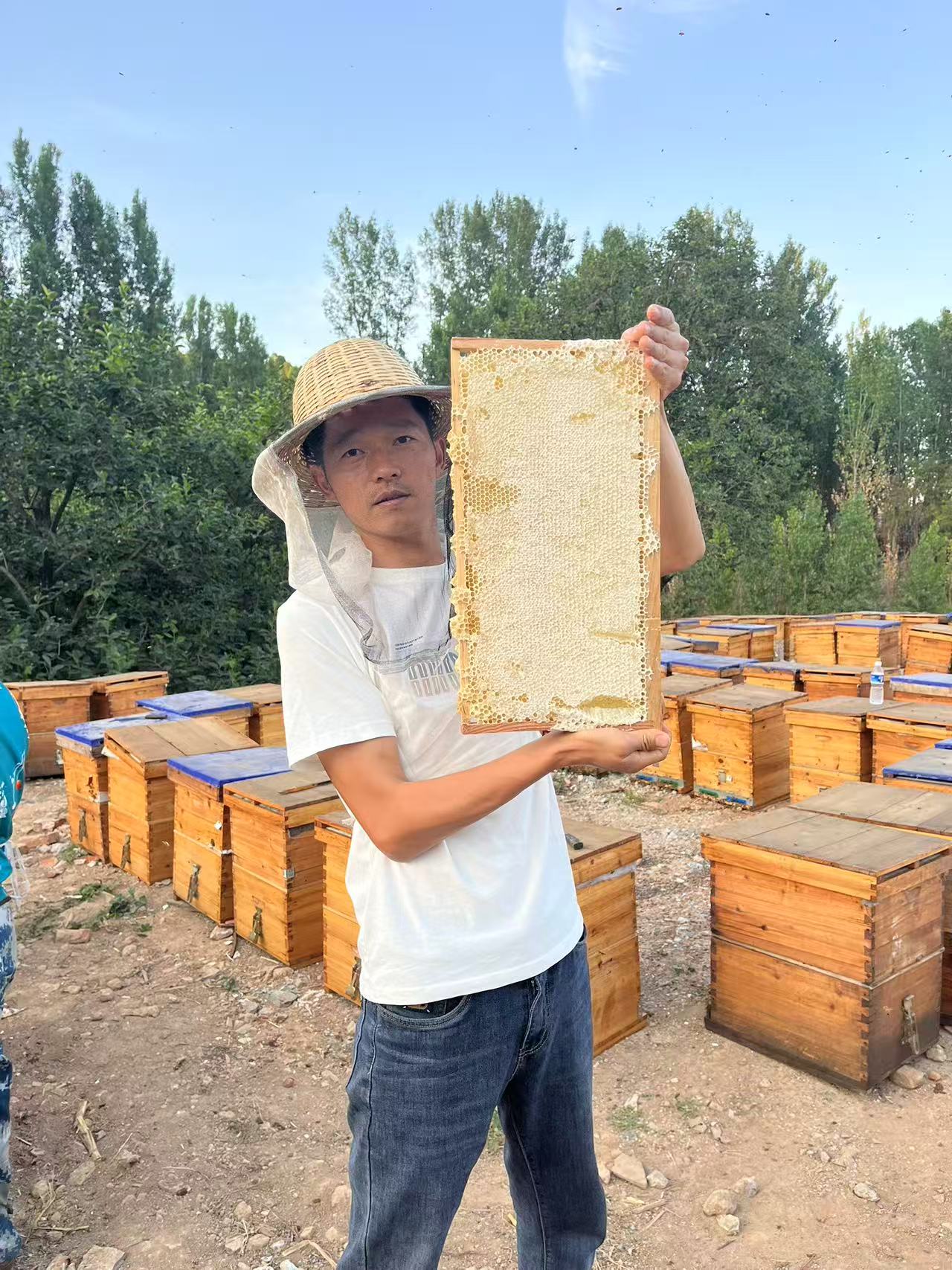 深山野酸枣花蜜自然成熟无加工原产地直发