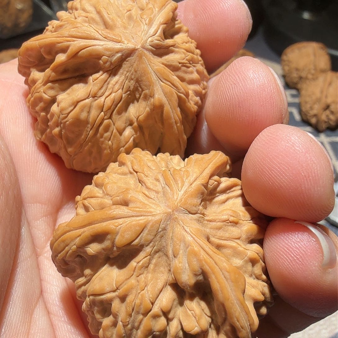 文玩核桃吊坠谭*生御龙