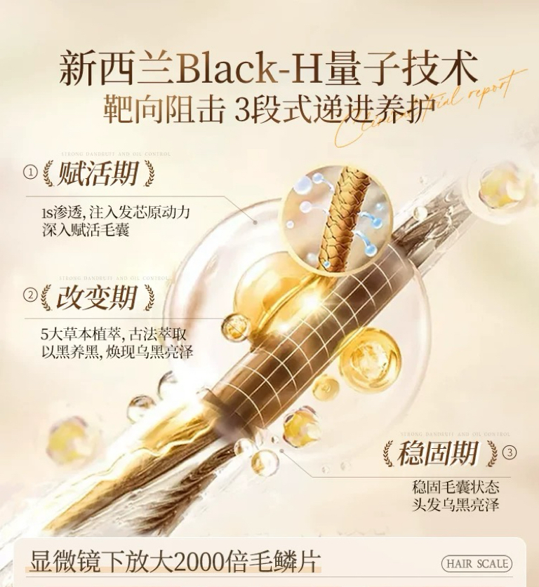 五倍子当归人参养发原液养发精华