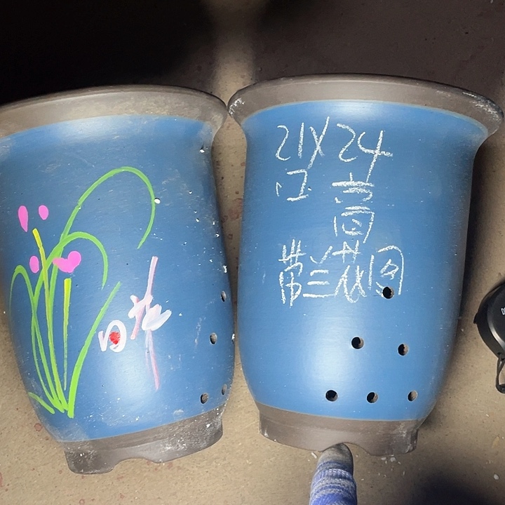 红陶紫砂紫砂紫砂紫砂