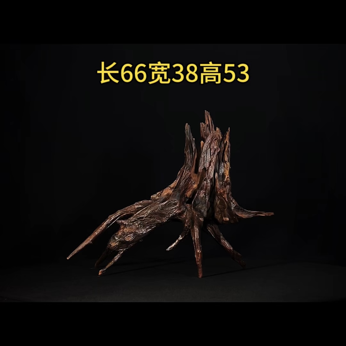 张大狼造景沉木长66cm树桩飘枝多枝 水族南美鱼缸造景 紫柚木秒沉