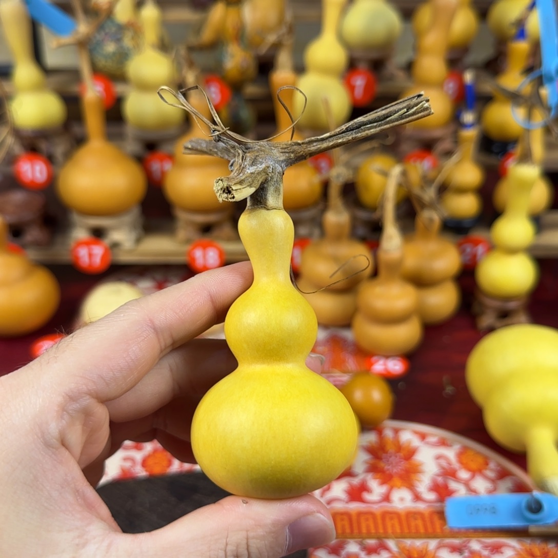 河***伯葫芦fuuccuucuchcvjuj