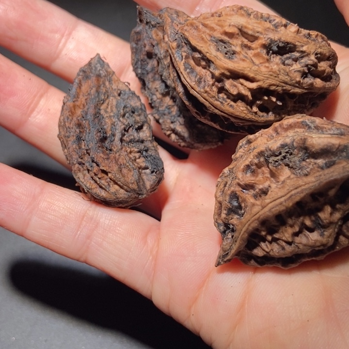 文玩核桃把件东北楸子小雪6