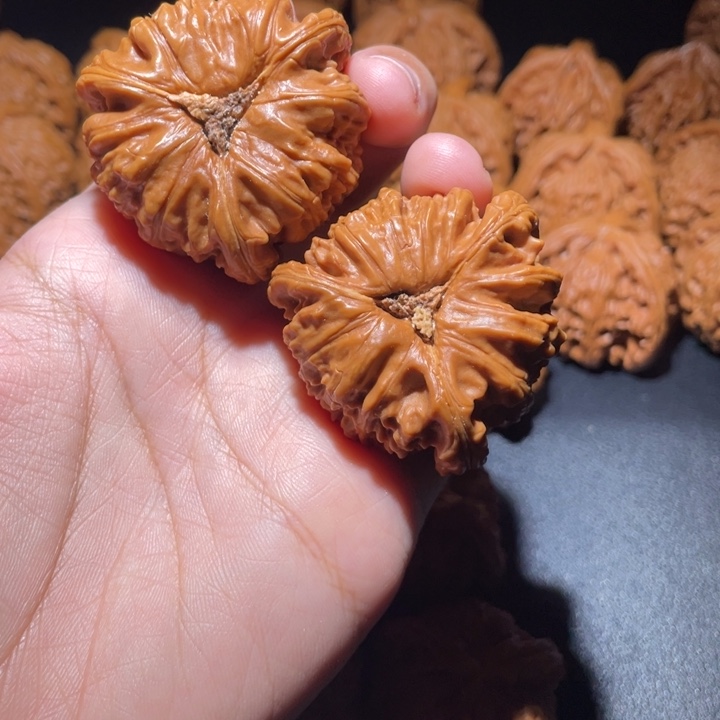 k***记桃核吊坠小妹三棱