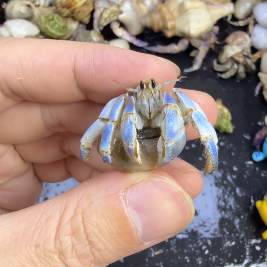 蓝天白云哦哦哦哦