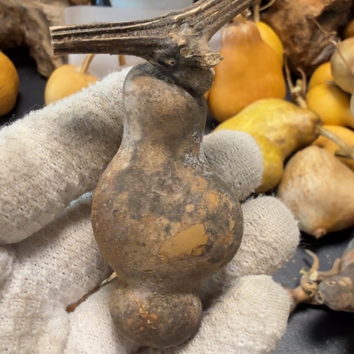 *****666666677777777777