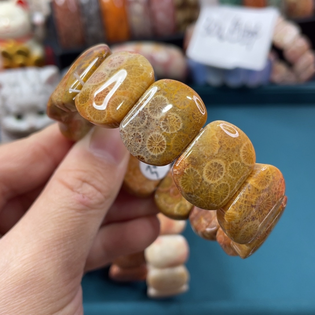 未镶嵌手镯硅化玉