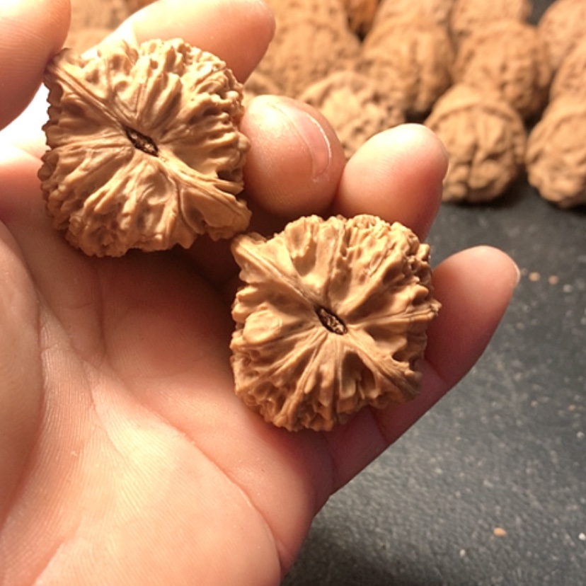 【闪购商品】海*南疆
