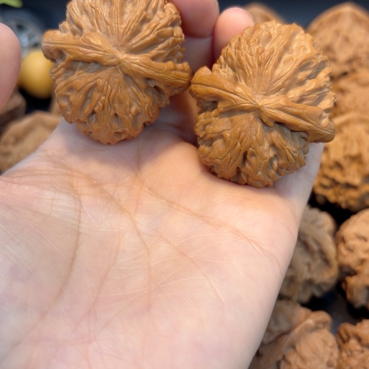 41白狮子44肚白狮子打底有修