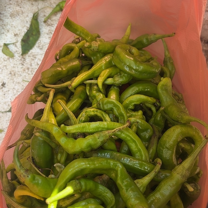 中国大陆炎陵本地辣椒2斤