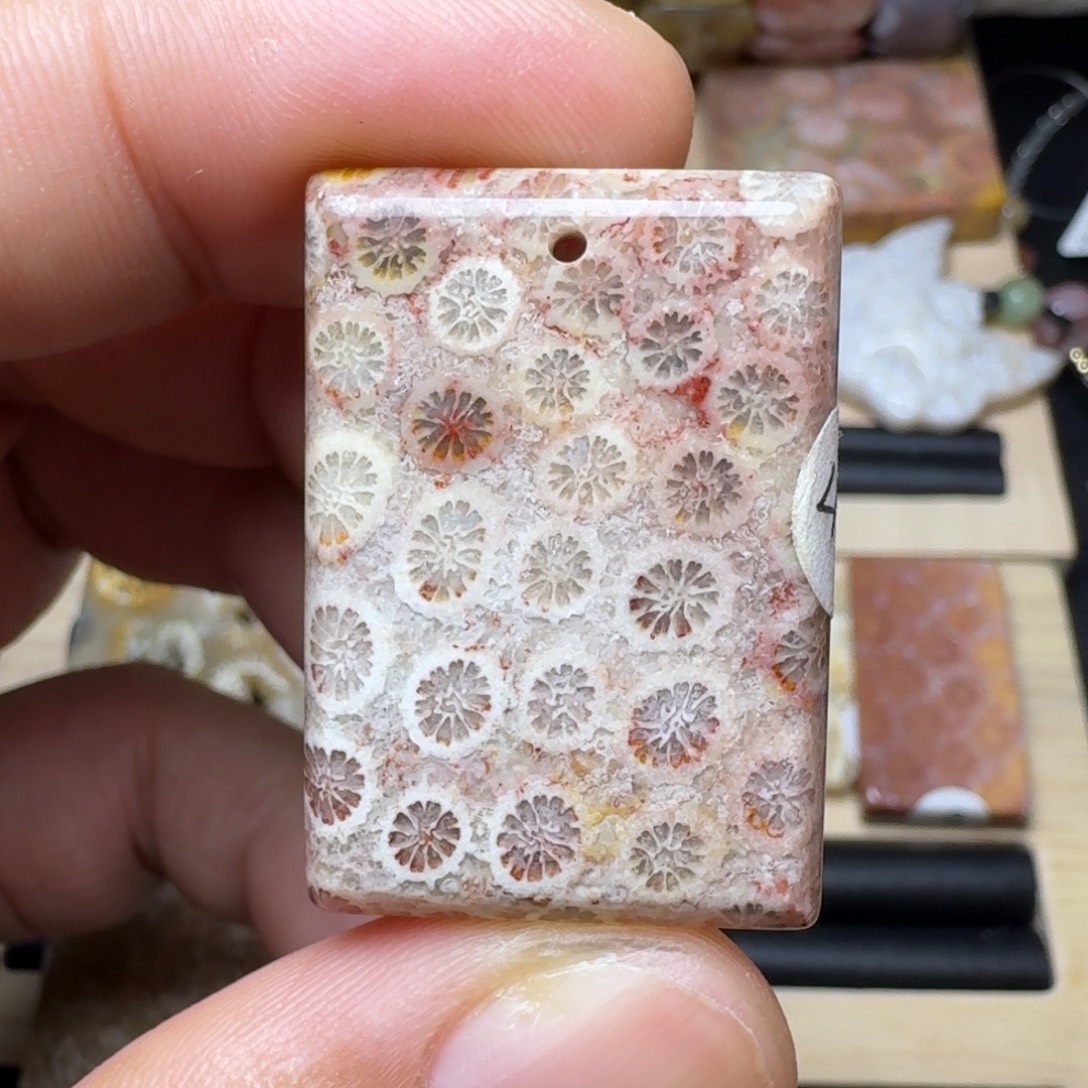 未镶嵌纯天然色有机玉石保真色硅化玉